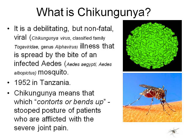 Inflammatory Sequelae After Chikungunya Virus Infection: Proposed Nutritional Treatment