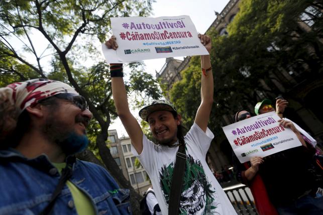 Men hold signs during a demonstration in support of the legalization of marijuana outside the Supreme Court building in Mexico City, in this November 4, 2015 file photo. The signs read, "#Self-cultivation yes, #Cannabis uncensored". REUTERS/Edgard Garrido/Files