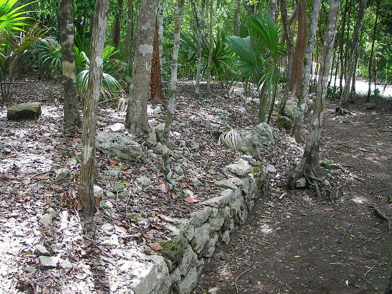 Coba Yaxuna sacbe near its eastern terminus at Coba
