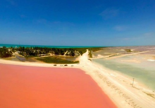 Telchac Pink Lagoon (Photo: Google)