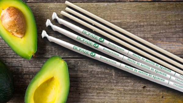 Hotel complex in Riviera Maya will use avocado seed biodegradable straws -  The Yucatan Times