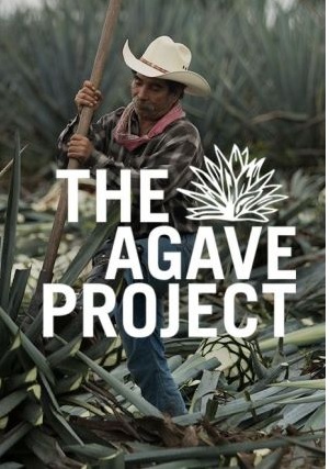 Jose Cuervo Is Turning Agave into Environmentally-Friendly Straws