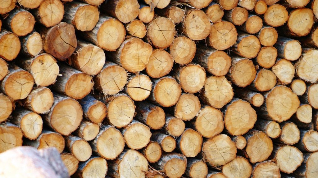 Is Ash Good Firewood - Best Firewood Choice?