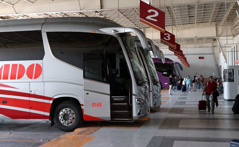 ADO expects an increase in passenger mobility during the holidays - The  Yucatan Times