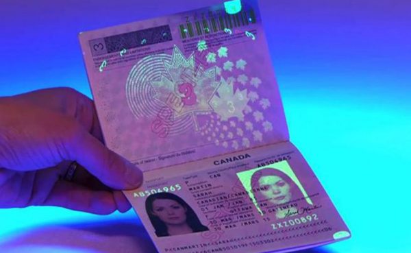 travel document number mexican passport