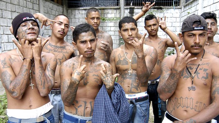 US Border Patrol detains gang members, including MS-13 on the Mexican  border – The Yucatan Times