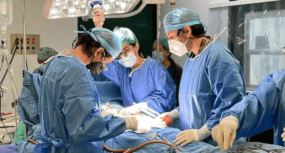 IMSS Yucatan carried out 54 kidney transplants during 2023 - The ...